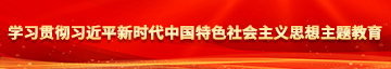 98色逼逼逼学习贯彻习近平新时代中国特色社会主义思想主题教育